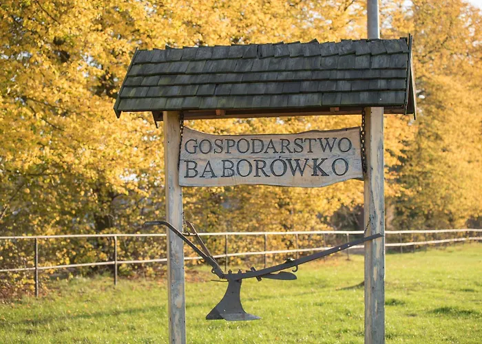 Palac Baborowko Alloggio per agriturismo
